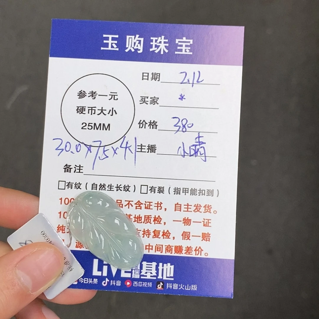 【闪购商品】翡翠颈饰未镶嵌＊叶子