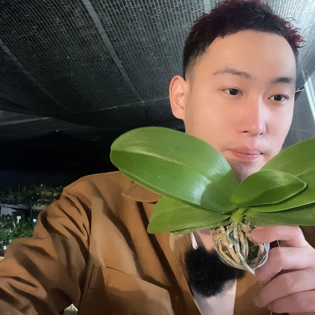 无花朵紫与铃铛387