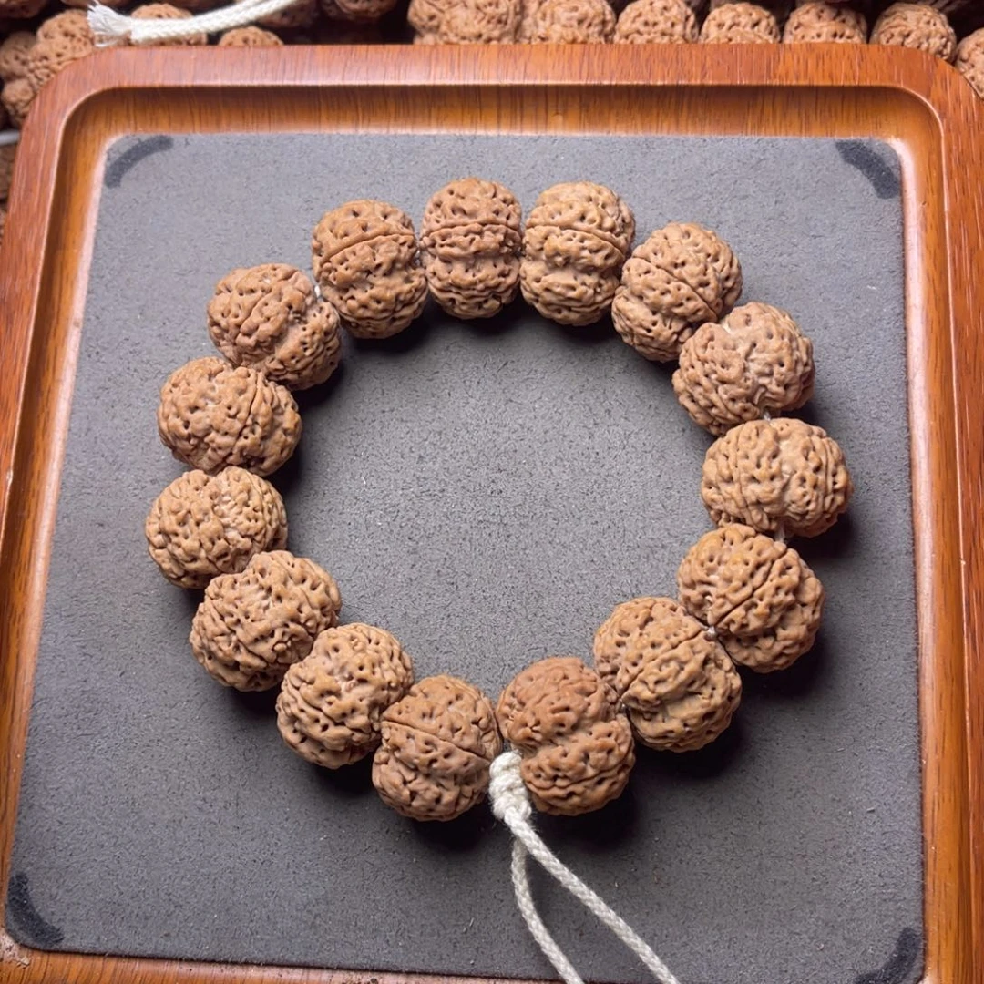 菩提籽类43号金刚菩提深沟原生态梅花25