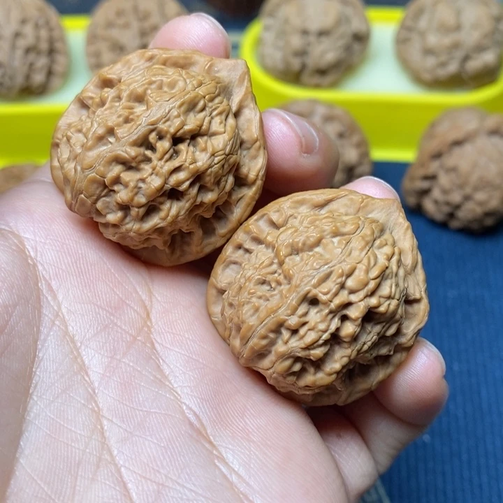 文玩核桃水龙纹34