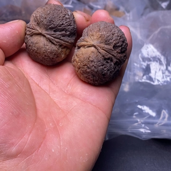 吊坠文玩核桃云南铁核桃炸福利93号