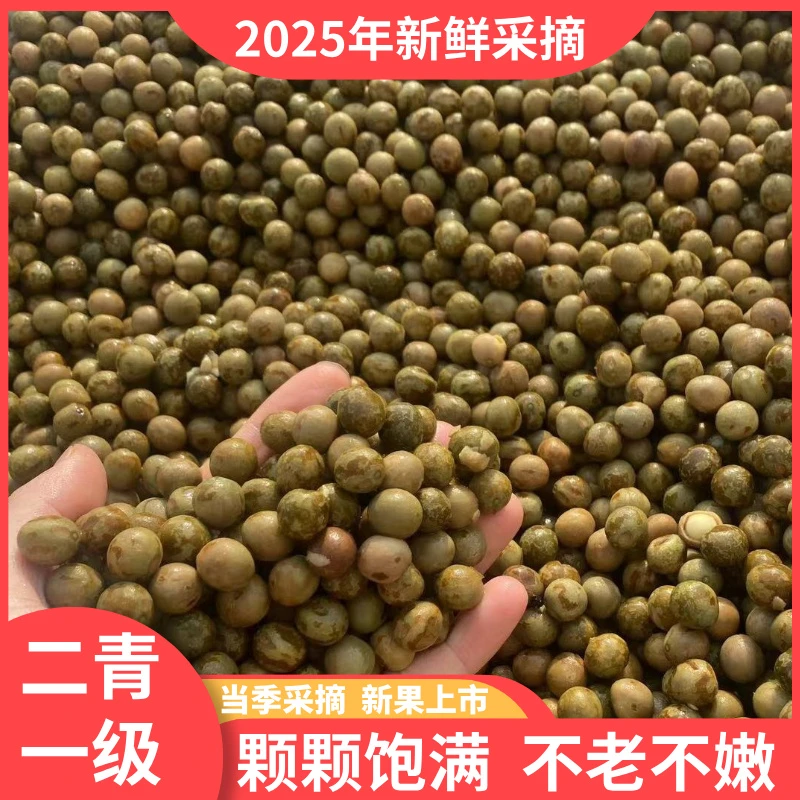 安徽新鲜芡实鸡头果二青一级鸡头米带壳打磨清香饱满不老不嫩直发