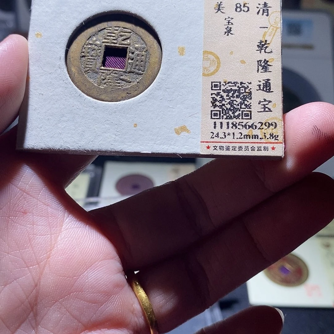 贝壳7 恭喜发财恭喜发财