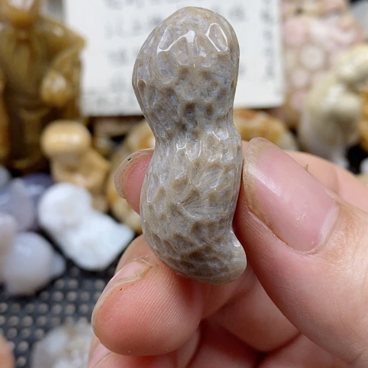 颈饰未镶嵌硅化珊瑚（珊瑚玉）