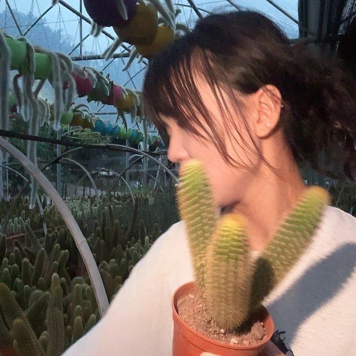 紫水晶两颗1111111111