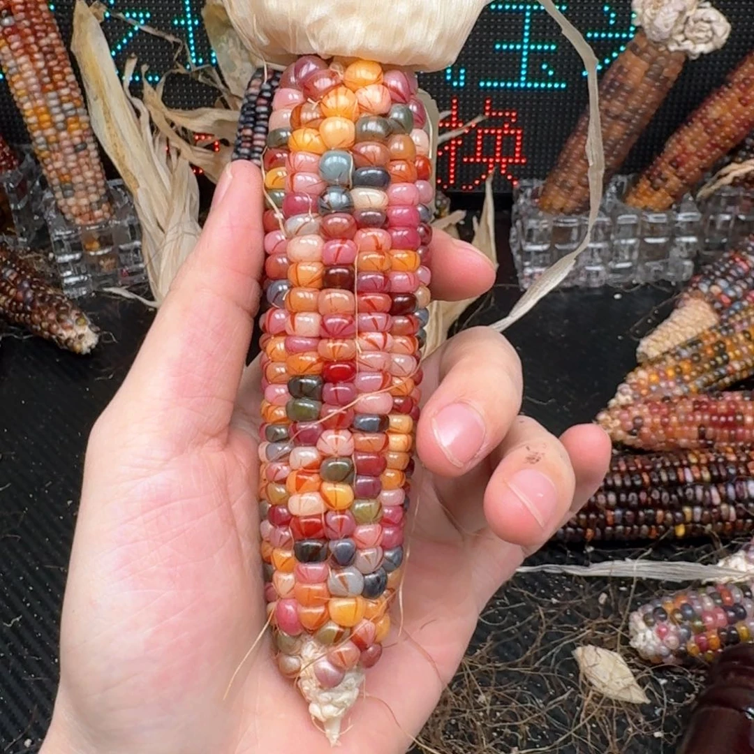 柏香籽/百香籽吊坠M**y