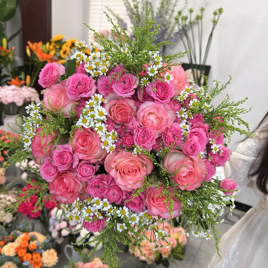 爱莎苏菲洋甘菊黄莺草鲜花云南基鲜花地直发顺丰包邮