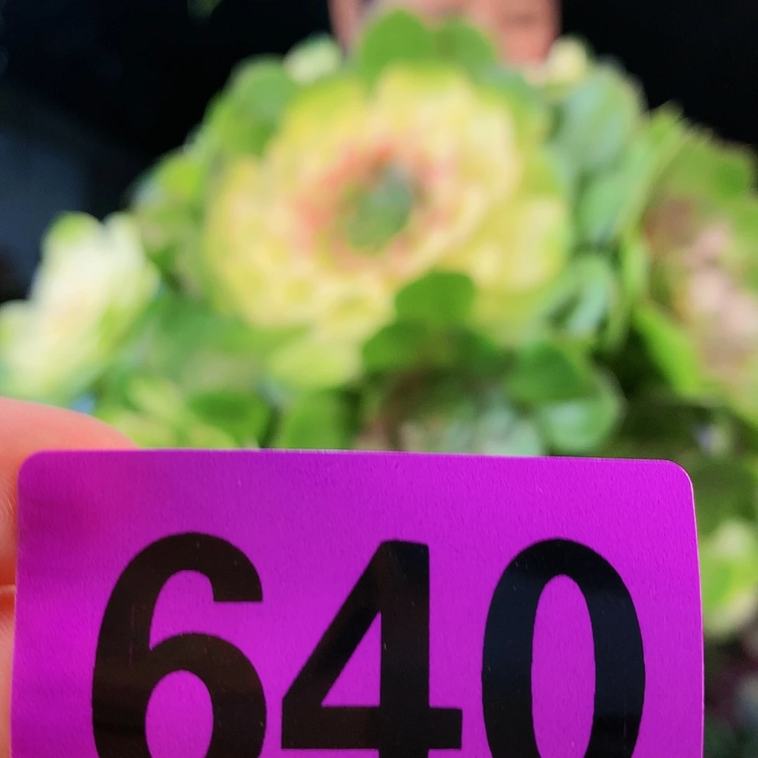 ssssssssssssssssssssssssss640