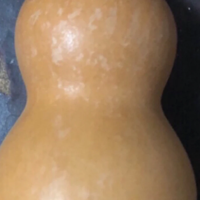 一物一拍（货真价实）