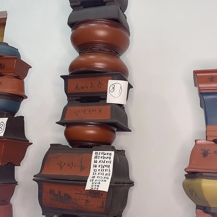 81一家漏家漏齿而咯