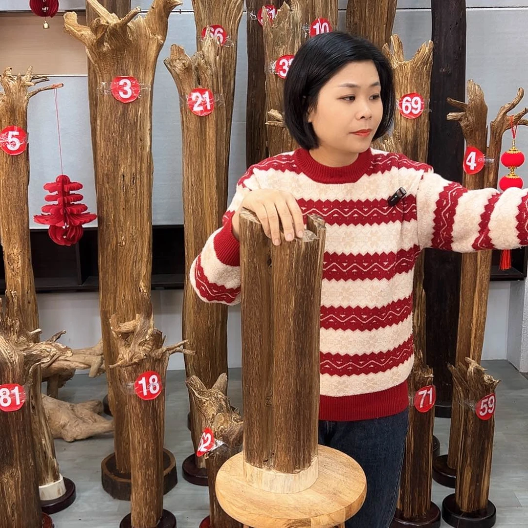 沉香摆件海南沉香摆件