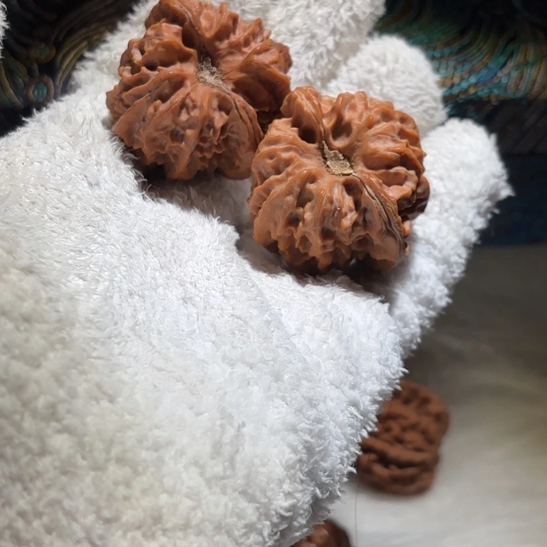 根***本文玩核桃吊坠极品酒杯大龙