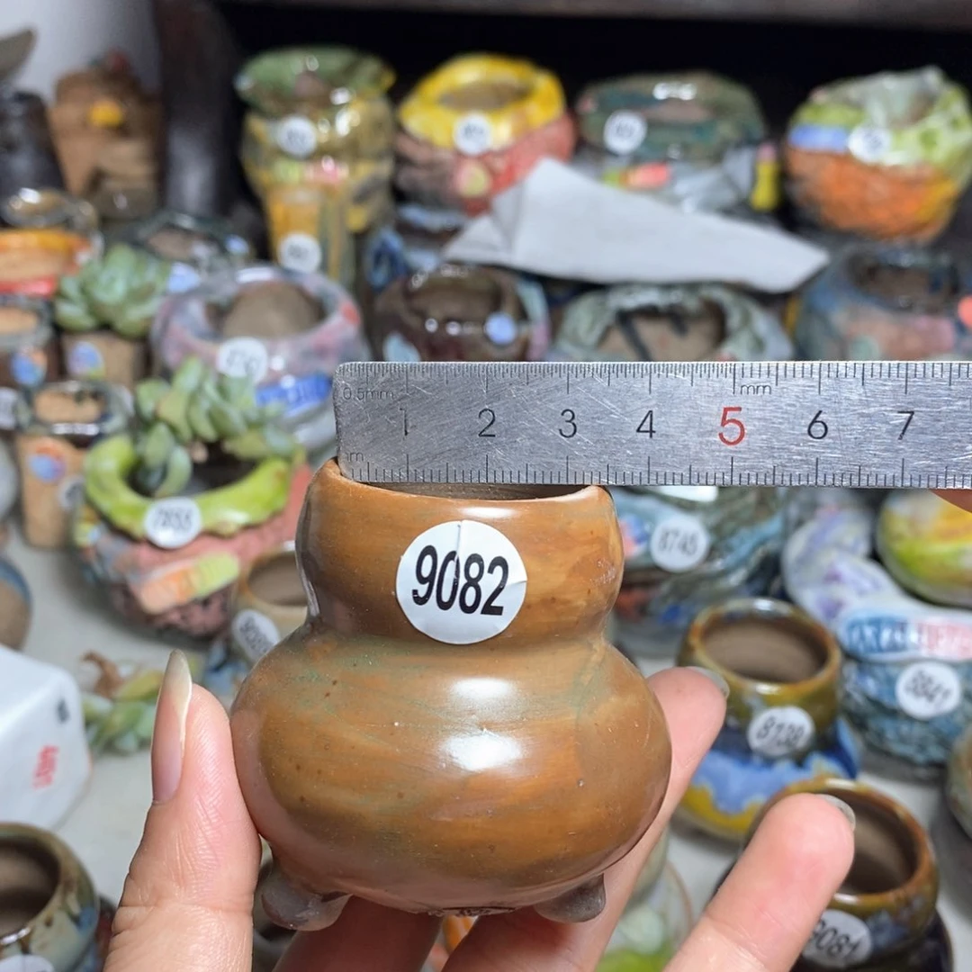 拍5送一个小礼物