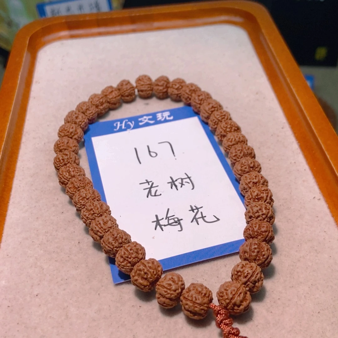 手串金刚菩提167老树梅花10