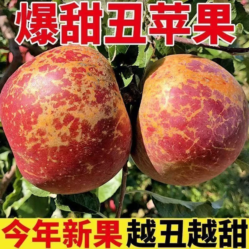 四川大凉山丑苹果冰糖心现摘现发脆甜多汁新鲜水果