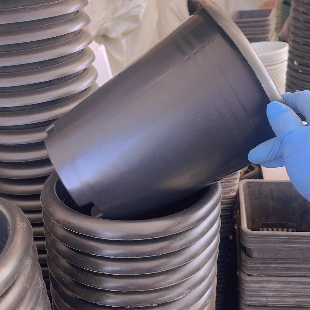 塑料口径20公分黑兰花盆10个