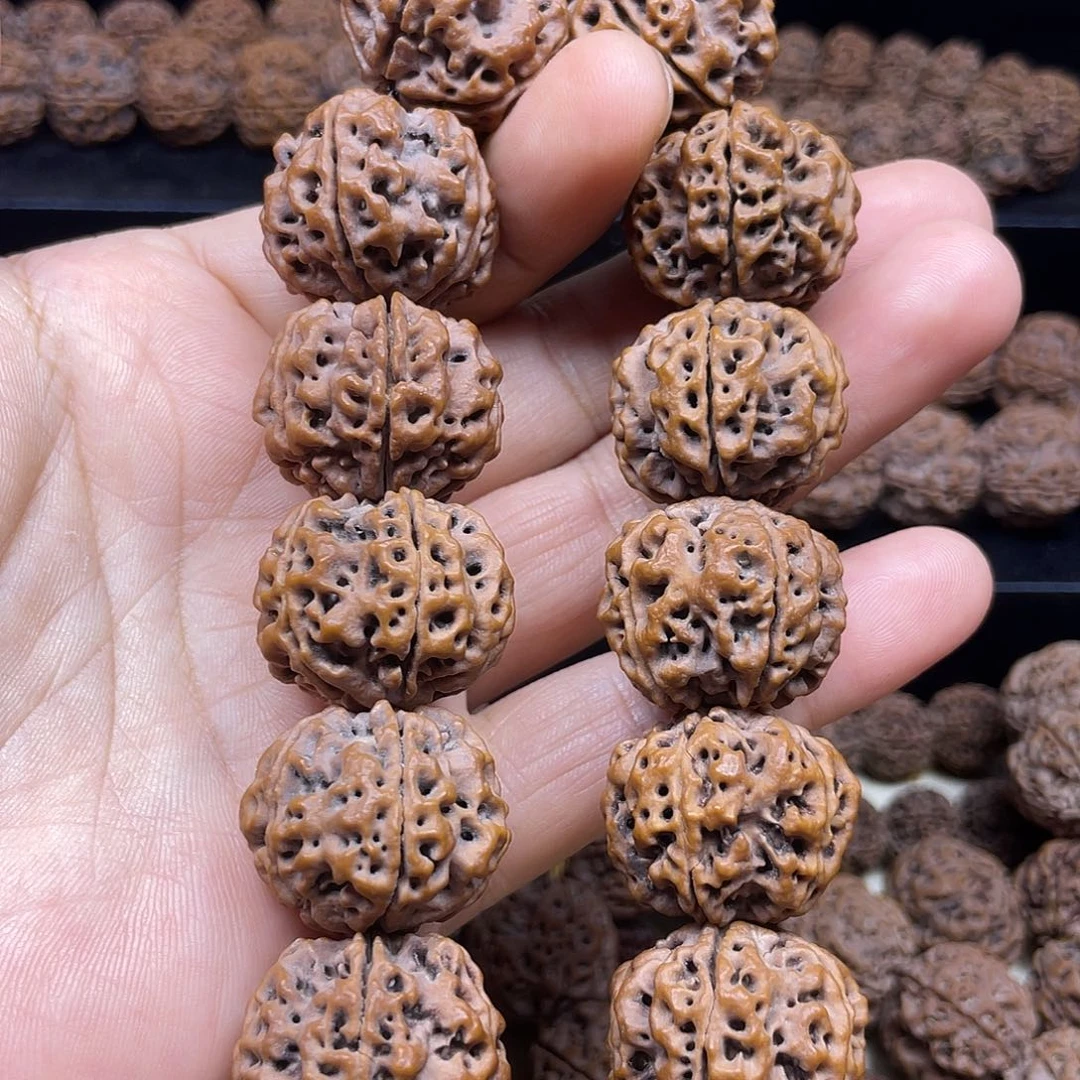 天***长手串金刚菩提26mm粗筋大梅花