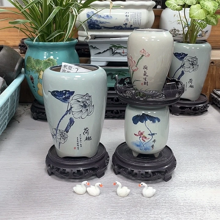 精美花盆抢购福利