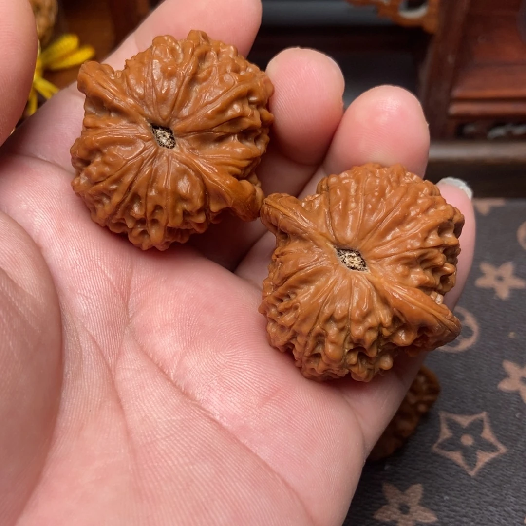 大叶紫檀（黑酸枝木类）