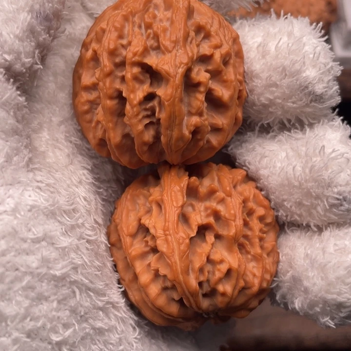 回***眸核桃40尺秦岭野生通天