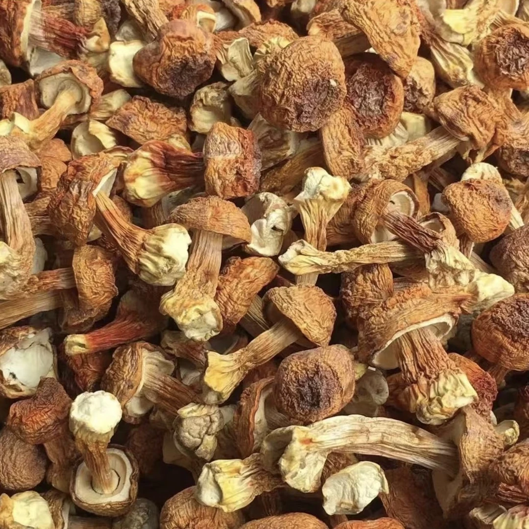 姬松茸又叫巴西菇松茸菇煲汤250g500g