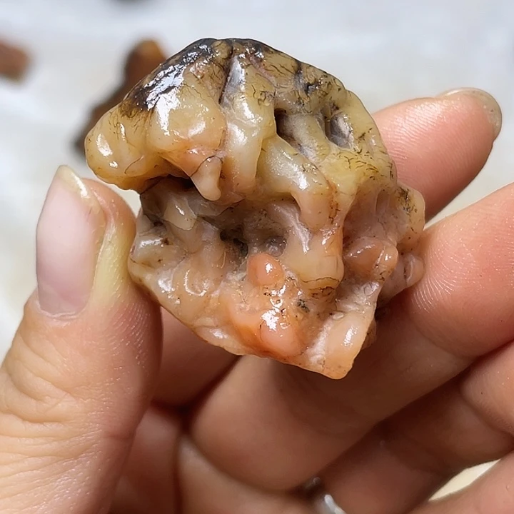 木***淘石材戈壁牧民美石原石