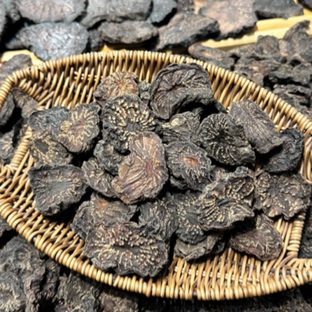 （Z）8-10年内蒙古阿拉善荒漠肉苁蓉油片内蒙古原产地发货