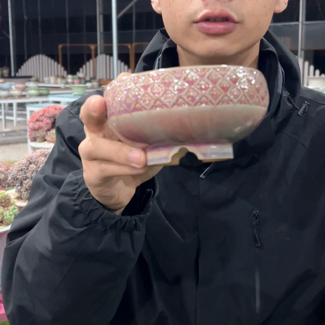 3*9大盆0524-105C秋合碗福袋