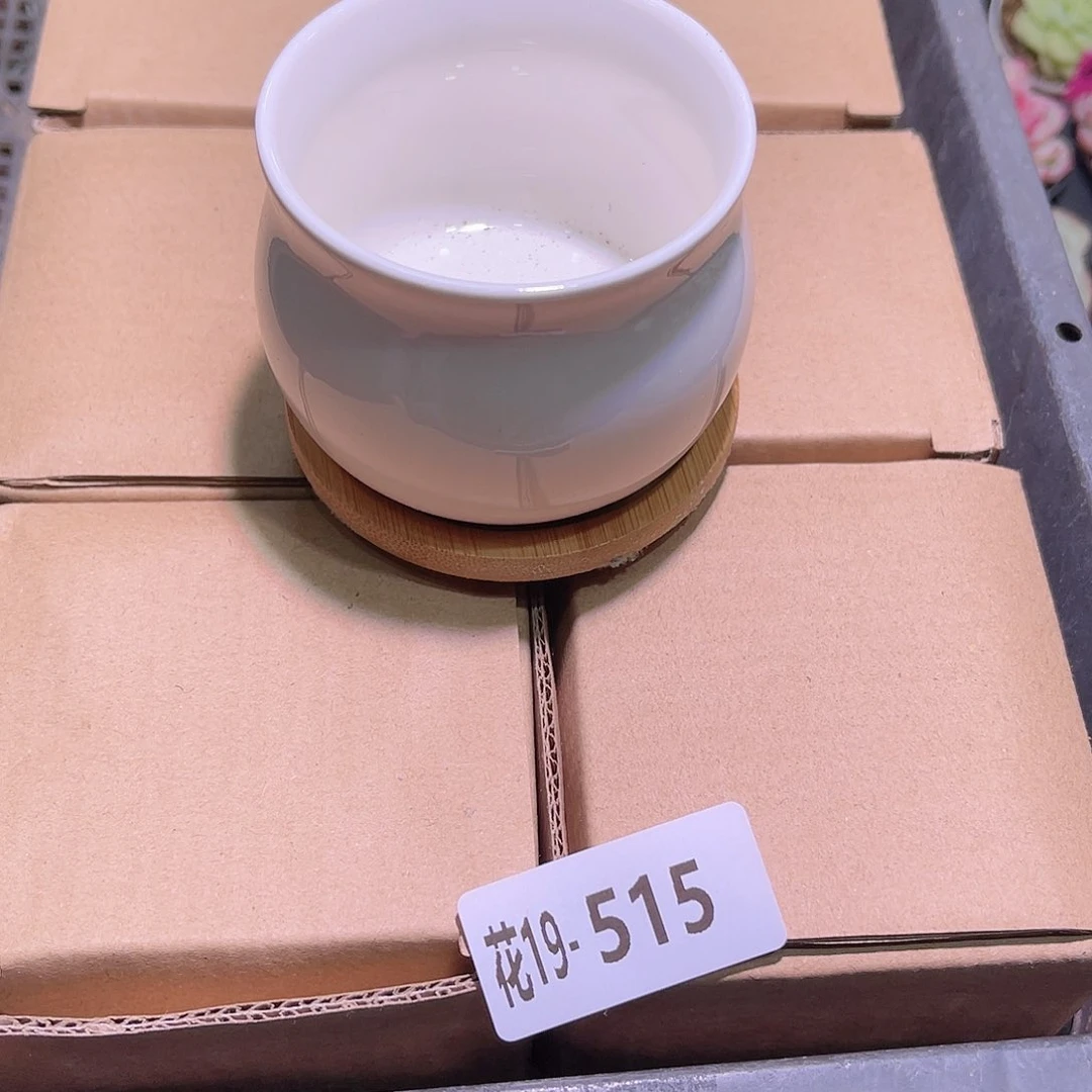 花19-515花盆六个