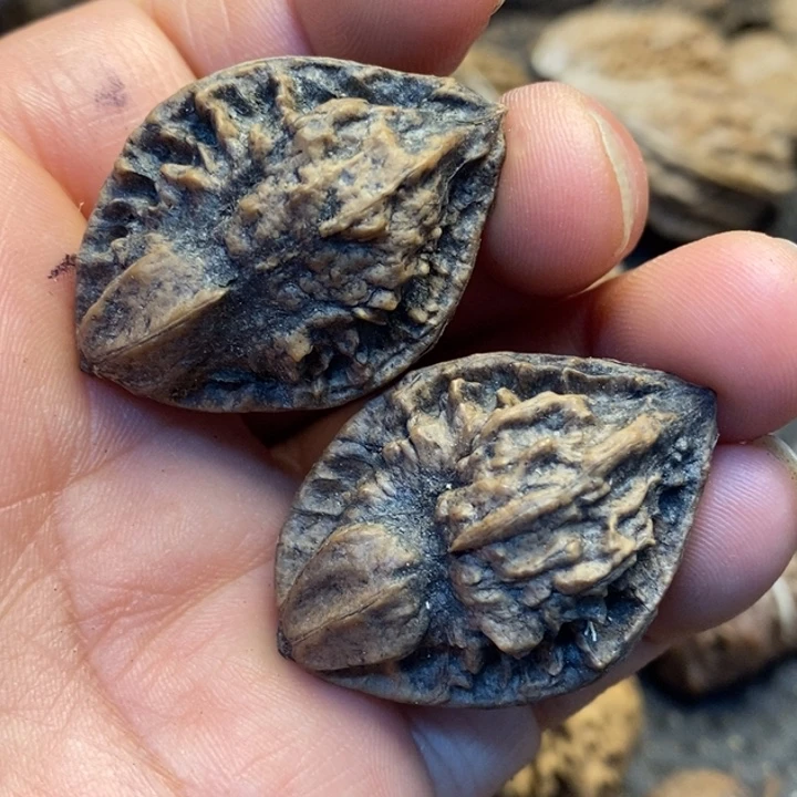 吊坠文玩核桃娜姐285