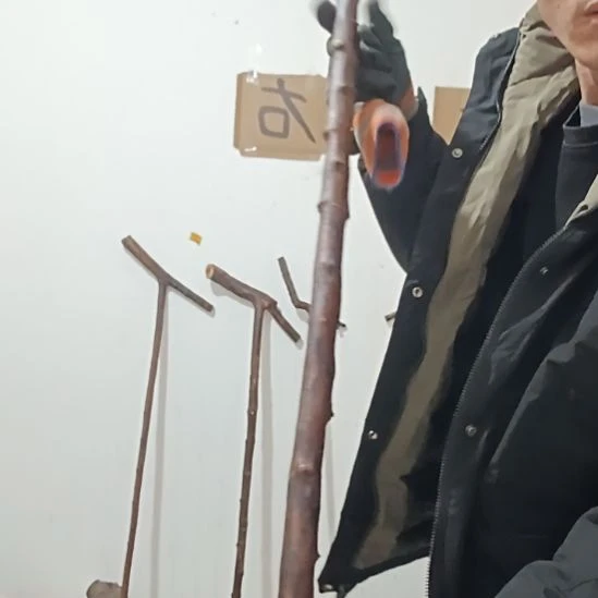 原木直播精品原木