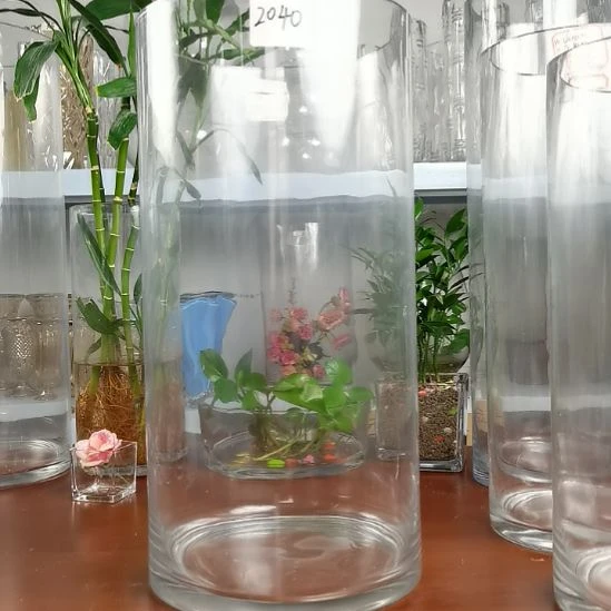 玻璃昌达玻璃直筒高度40口径20