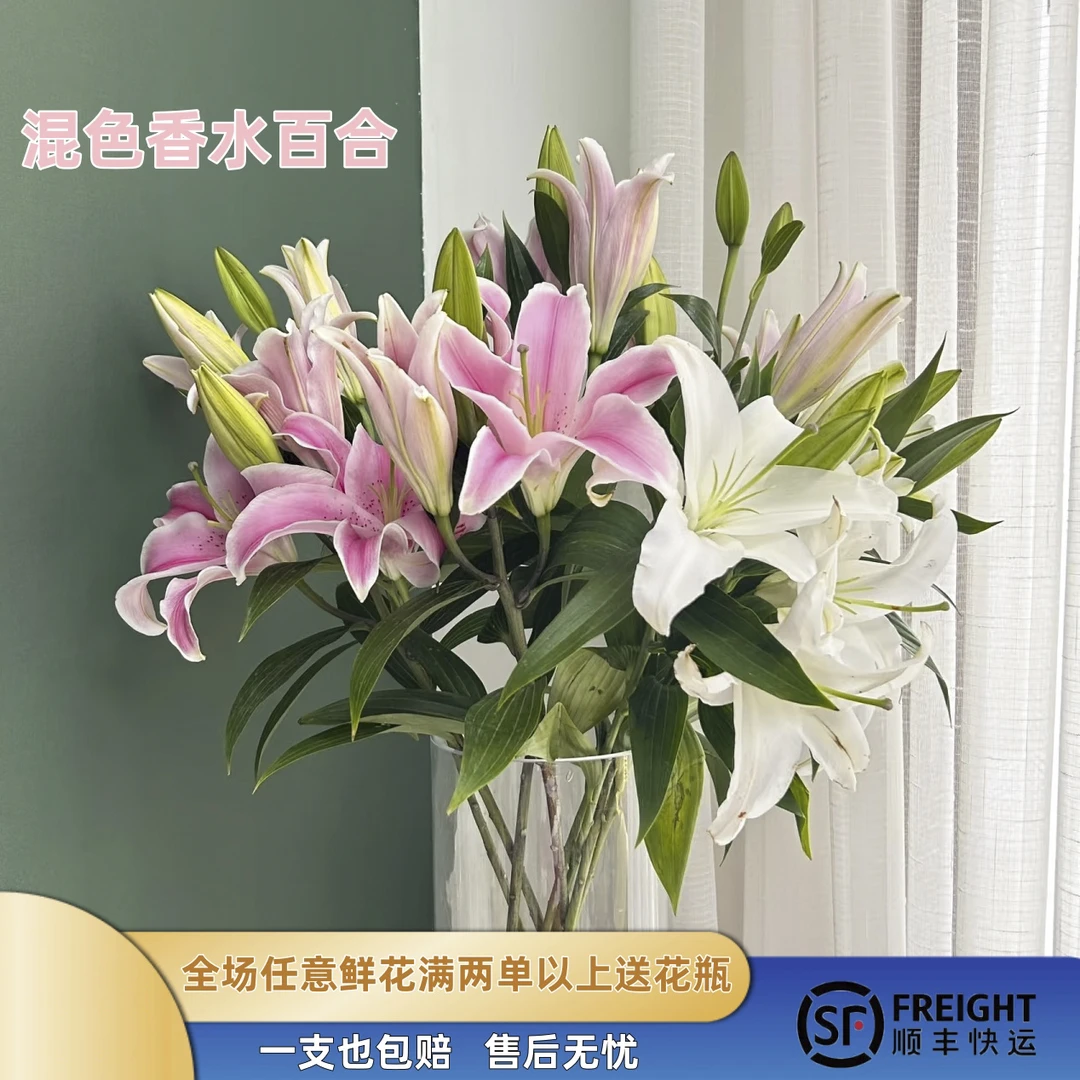 特价【五彩香水百合】混色百合6-8头·全场两单鲜花顺丰包邮·基地
