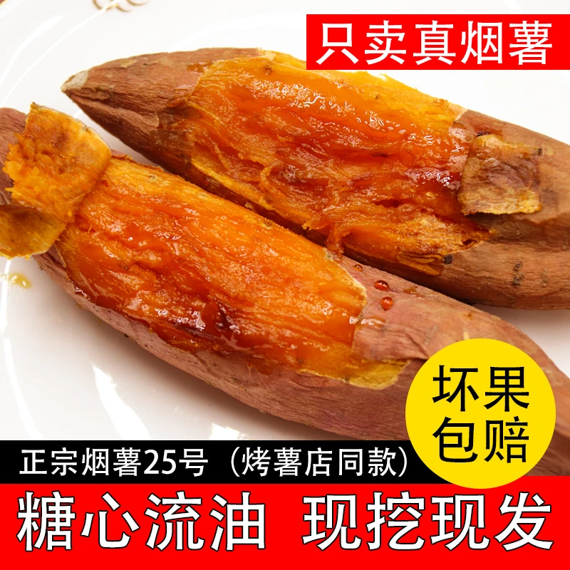 山东烟薯25号净重5斤沙地新鲜糖心红薯香甜蜜薯农家自种番薯地瓜