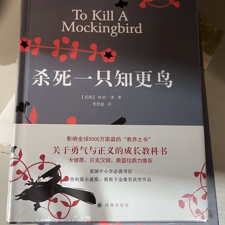 知更鸟新书推荐全新