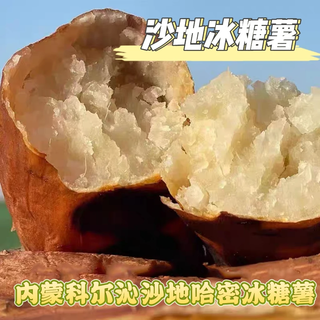 【卡丽娜专属】内蒙科尔沁沙地新鲜现挖哈密冰糖心白薯