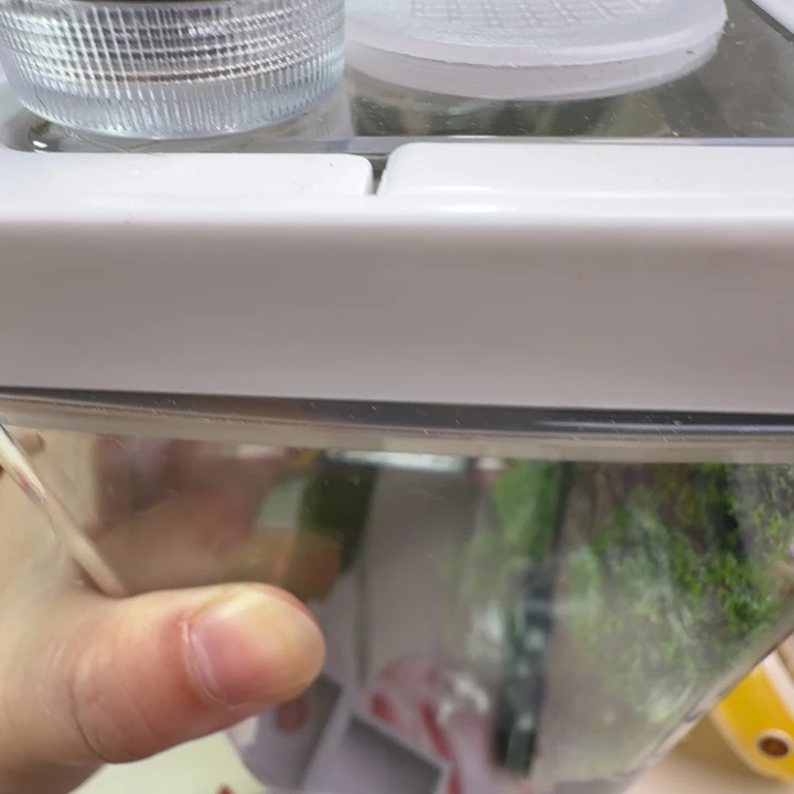 一个生态盒一个海南素背