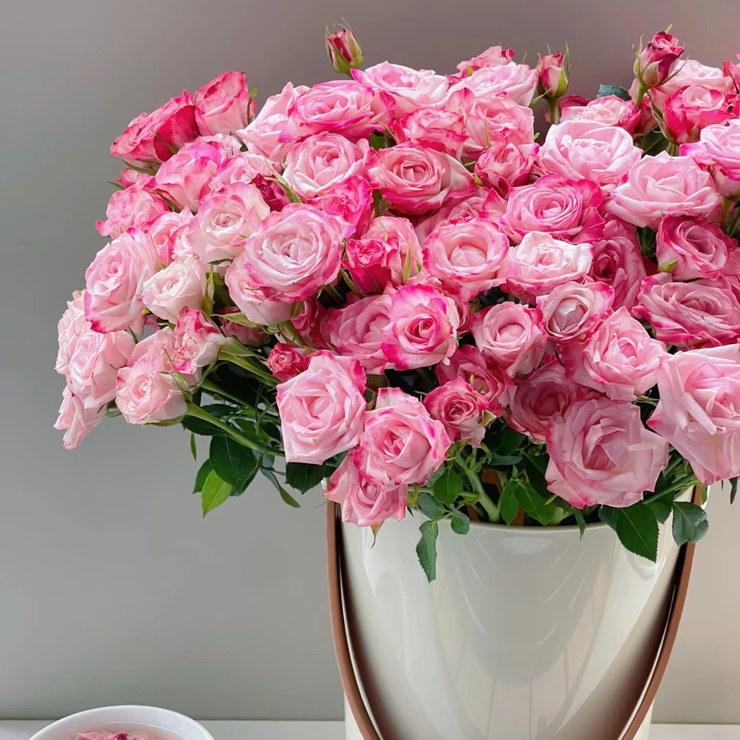 【缤纷玫瑰】浪琴 任拍三单及以上包顺空鲜切花10支装%20不售后