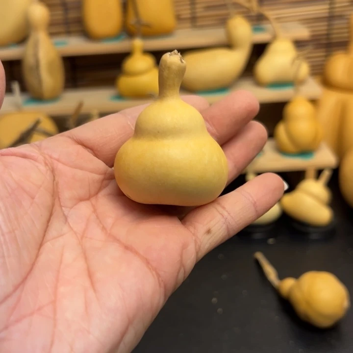 不****饭路公交车到葫芦葫芦葫芦葫芦