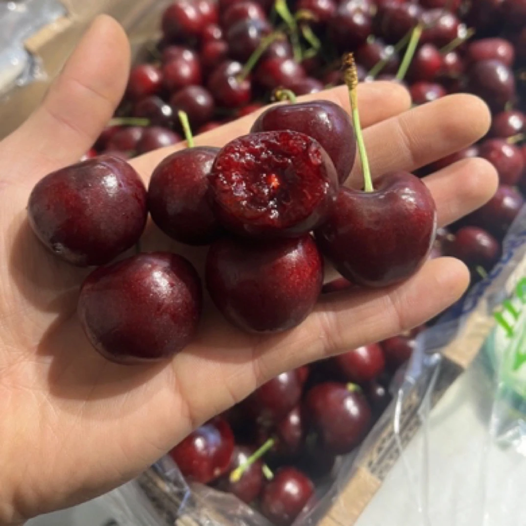 海运3J车厘子一箱5斤装