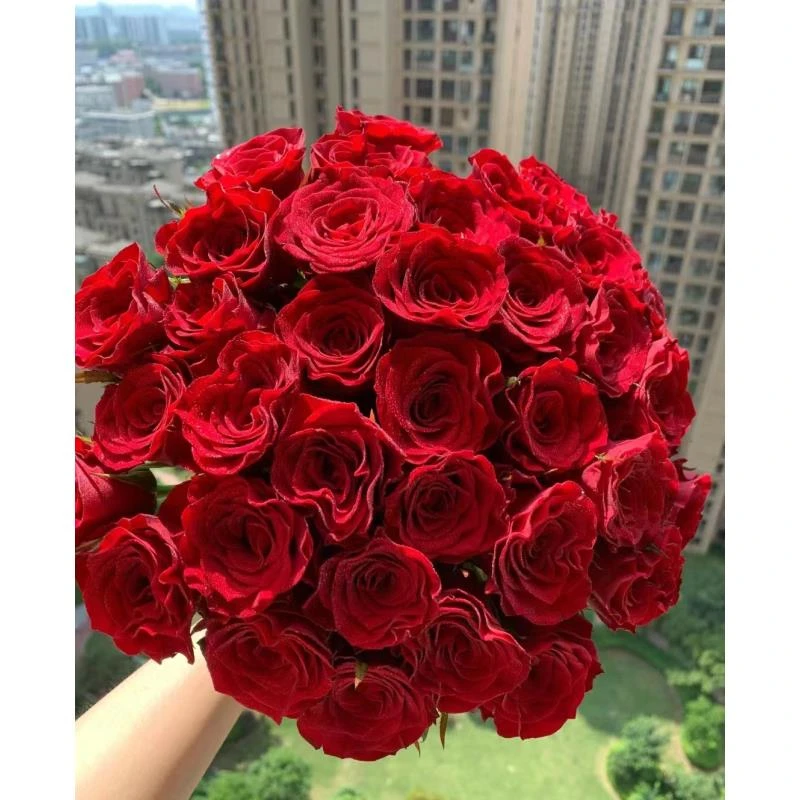 【红玫瑰10支】单头玫瑰