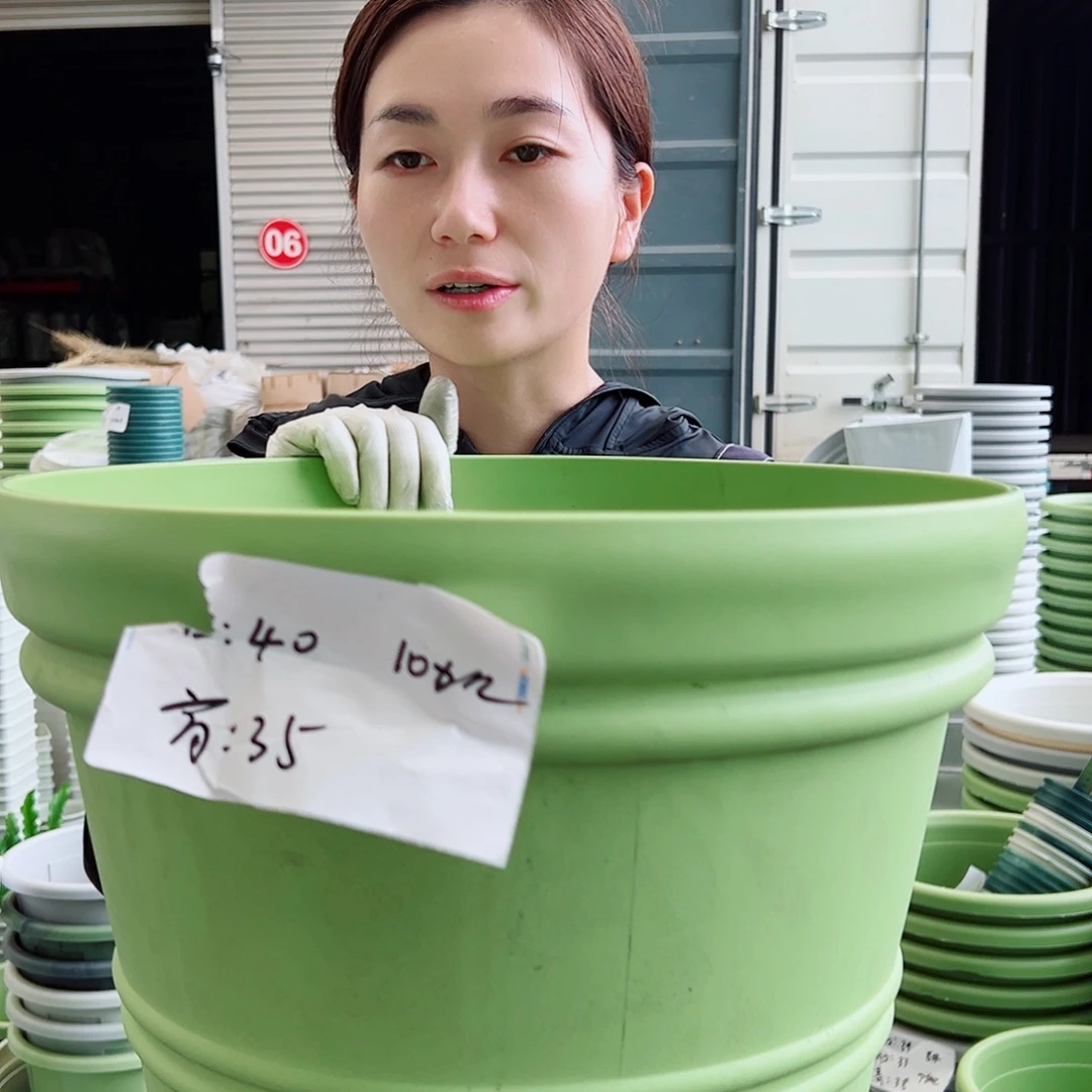 罗马盆小号果绿3个无托