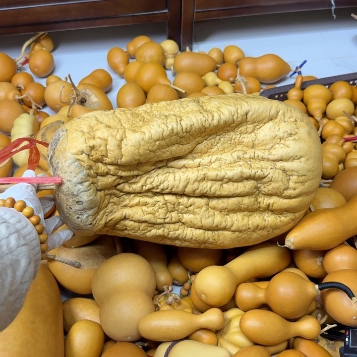 老***老竹类大冬瓜抽抽葫芦