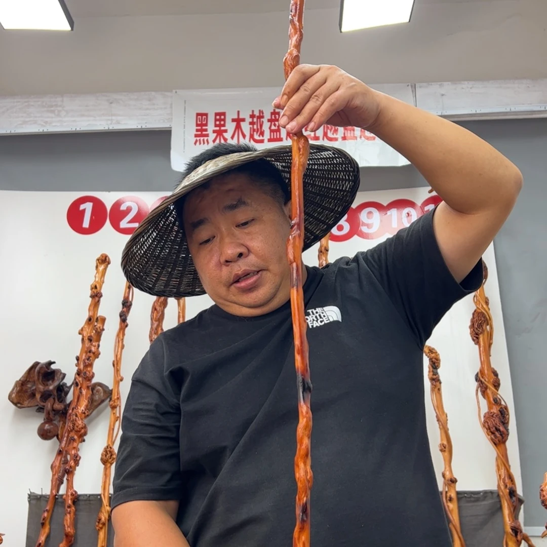 用***6黑果木其他黑果木598