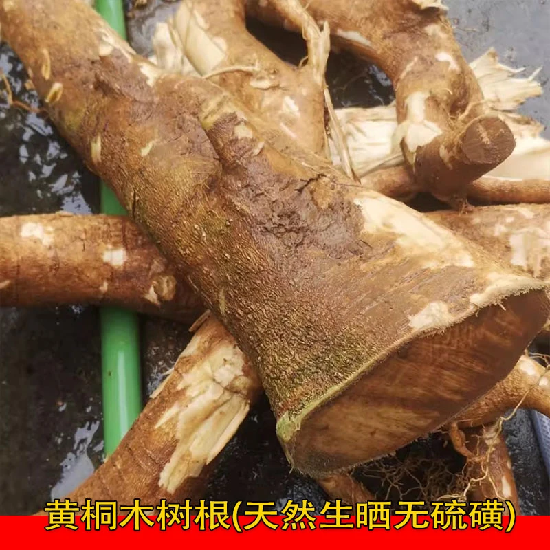 黄桐木根片土货阳江阳春乡下土货晒干干货煲汤1斤包邮