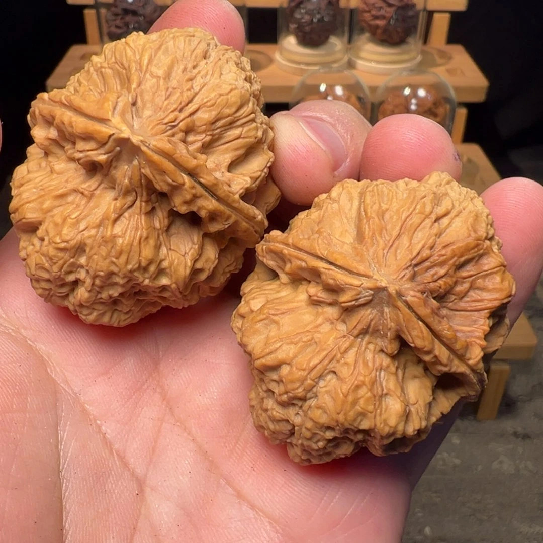 文玩核桃把件火麒麟47mm