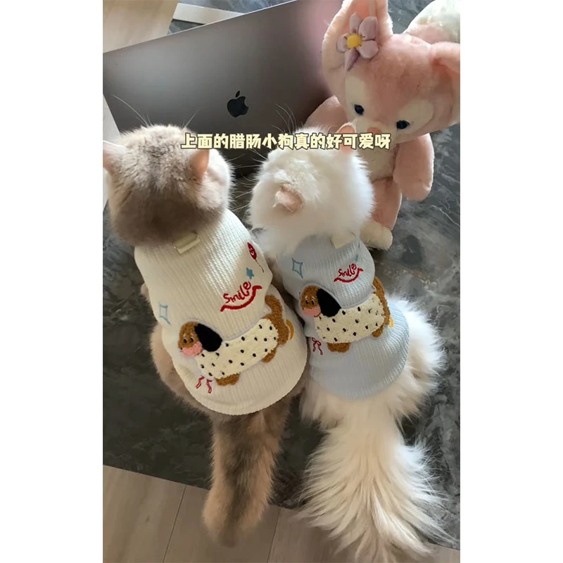 猫咪衣服春秋季新款可爱彩色腊肠狗背心布偶蓝猫金渐层防掉毛背心