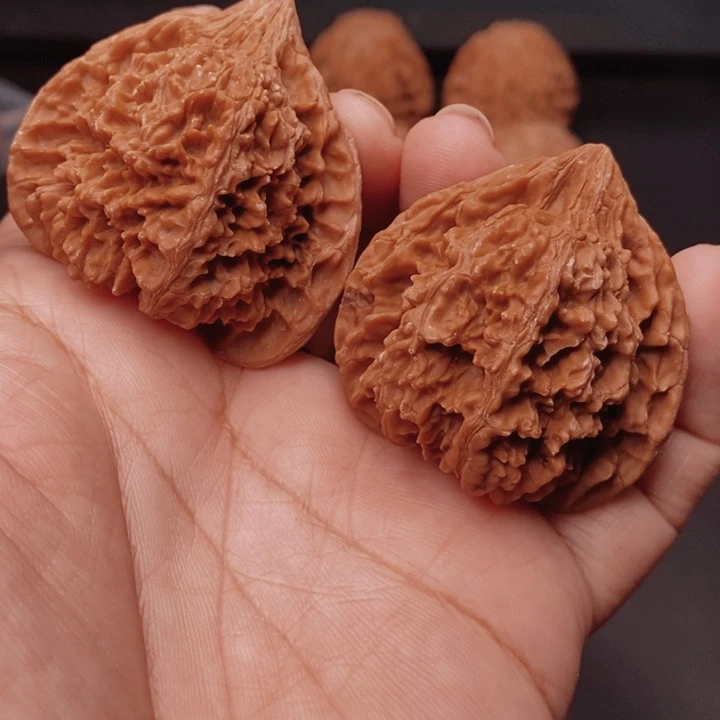 核桃满天星42尺核桃