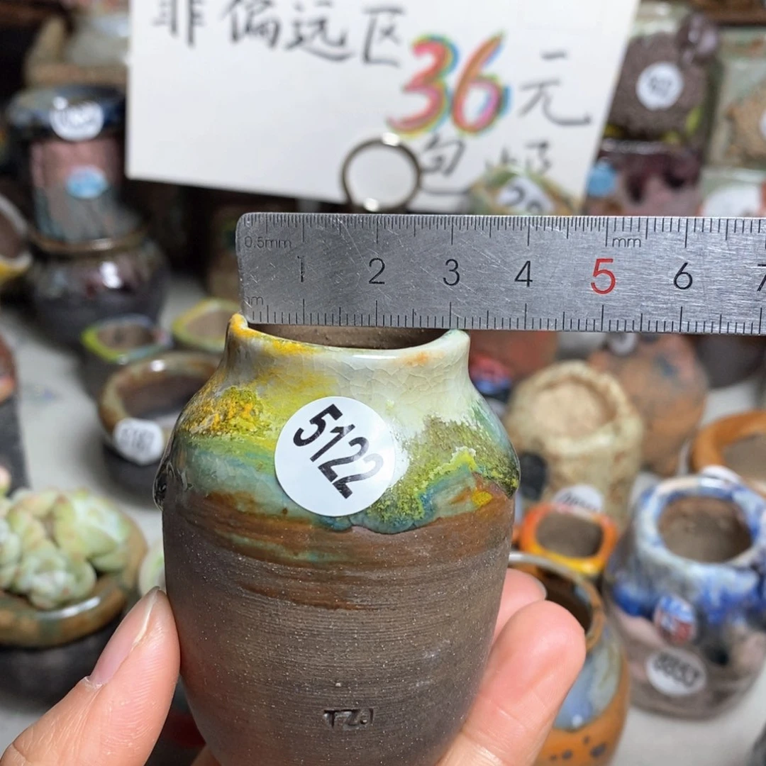 花盆拍5送一个小礼物