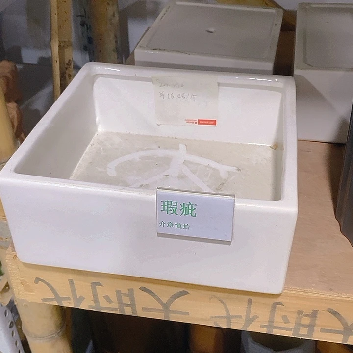 摆件多肉瑕疵盆有孔